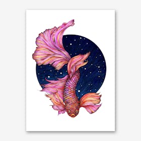 Rainbow Waters: The Betta Fish Art Print