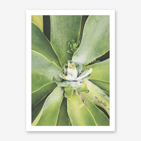 Verde Art Print