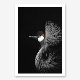 Crowned Crane in Art Print