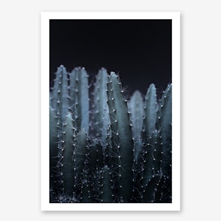 Dark Plant II Cacti in Art Print