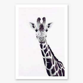 Giraffe Portrait in Art Print