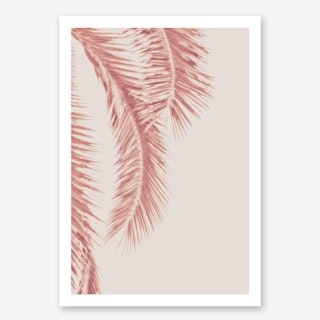 Rose Palm Leaves in Art Print