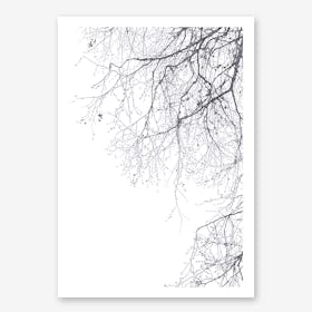 Black Branches 23 in Art Print