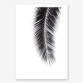 Black Palm in Art Print