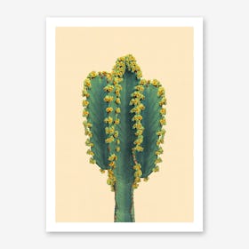 Cactus 3 Art Print