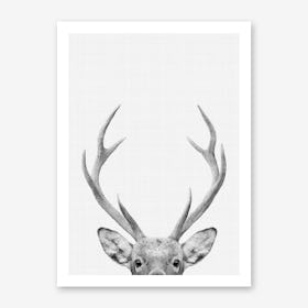 Deer Portrait Art Print