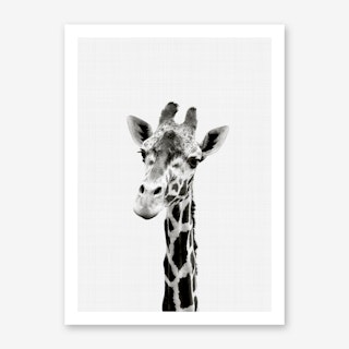 Giraffe Portrait Art Print