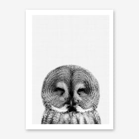 Owl Portrait 2 Art Print