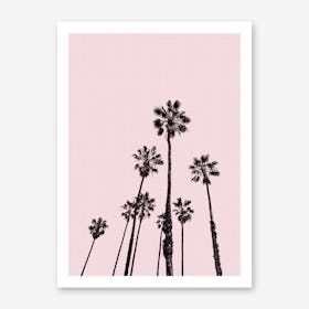 Palm 2 Art Print