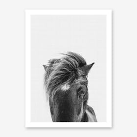 Pony Portrait Art Print