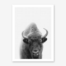 Bison Portrait Art Print