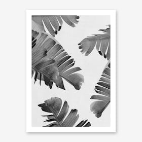 Tropical 4 Art Print