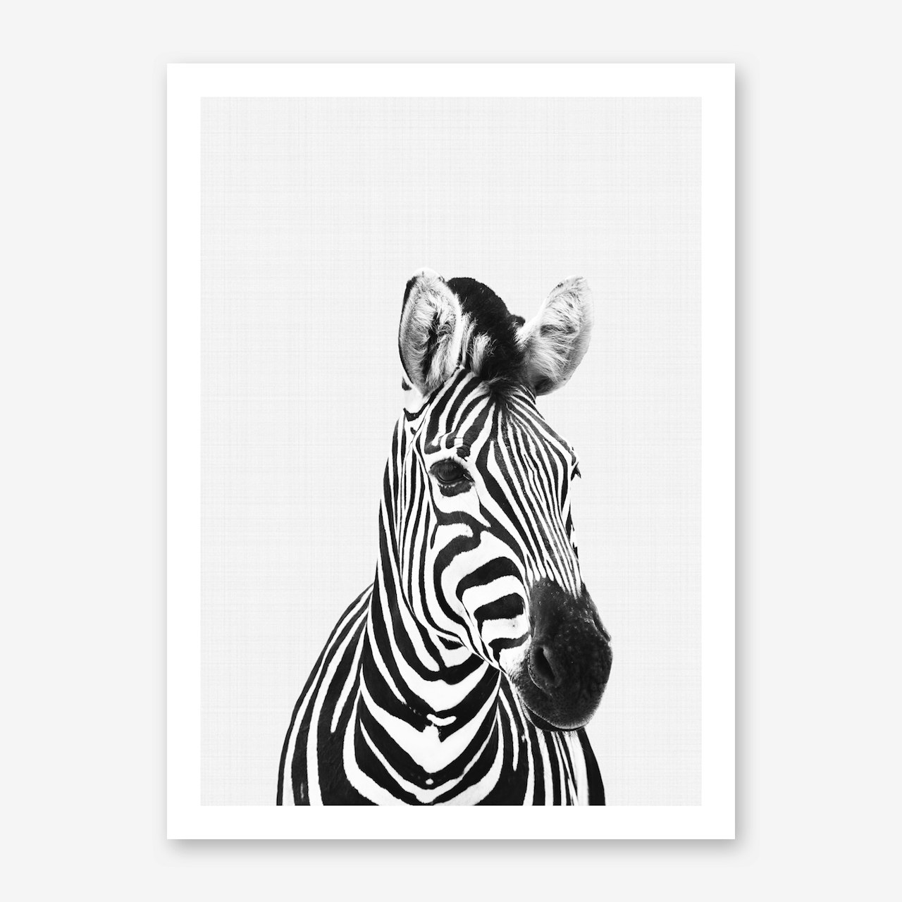 Black and White Art Prints & Posters Free Shipping & Returns Shop