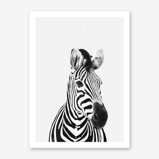 Zebra Portrait Art Print