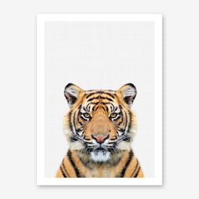 Tiger II Art Print