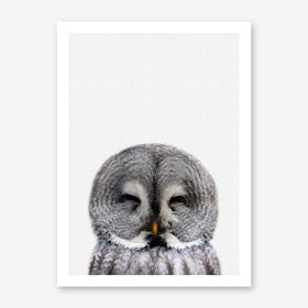 Owl II Art Print