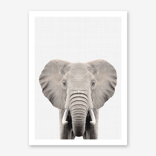 Elephant II Art Print