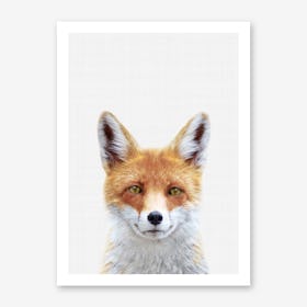 Fox II Art Print