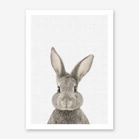 Rabbit II Nursery Art Print