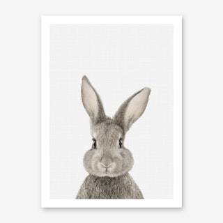 Rabbit II Art Print