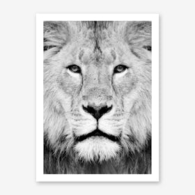 Lion III Art Print