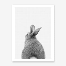 Rabbit Tail Art Print