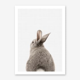 Rabbit Tail II Art Print