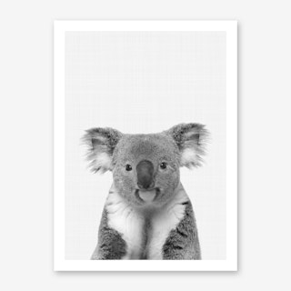 Koala Portrait Art Print