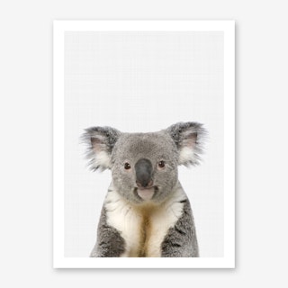 Koala Portrait II Art Print