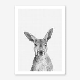 Kangaroo Portrait Art Print