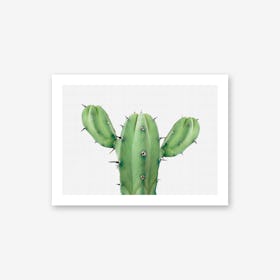 Cactus 1 Art Print