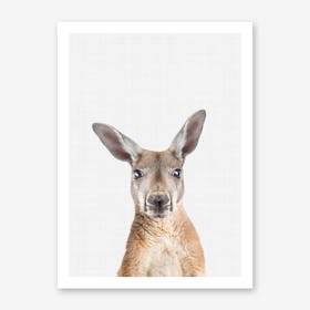 Kangaroo Portrait II Art Print