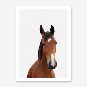Horse Portrait II Art Print
