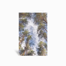 A Walk In The Forest Greetings Card