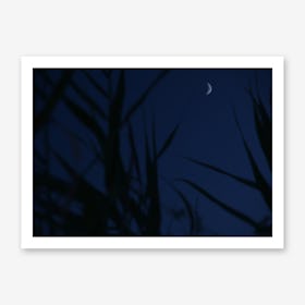 The Bright Side of the Moon Art Print