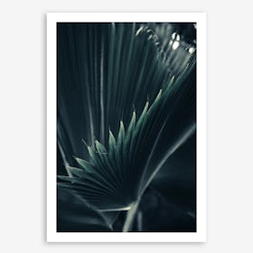 Palm Shade 1 Art Print