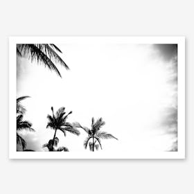 Palm Shade 4 Art Print