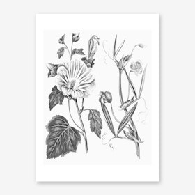 Botanical Art Prints & Posters | Free Shipping & Returns | Shop Fy! Art