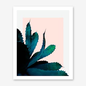 Cactus Southwestern Art Print