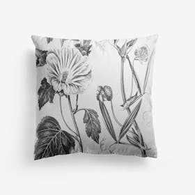 Annual Lavatera Blue Lathyrus Cushion