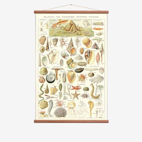 Sealife Wall Hanging