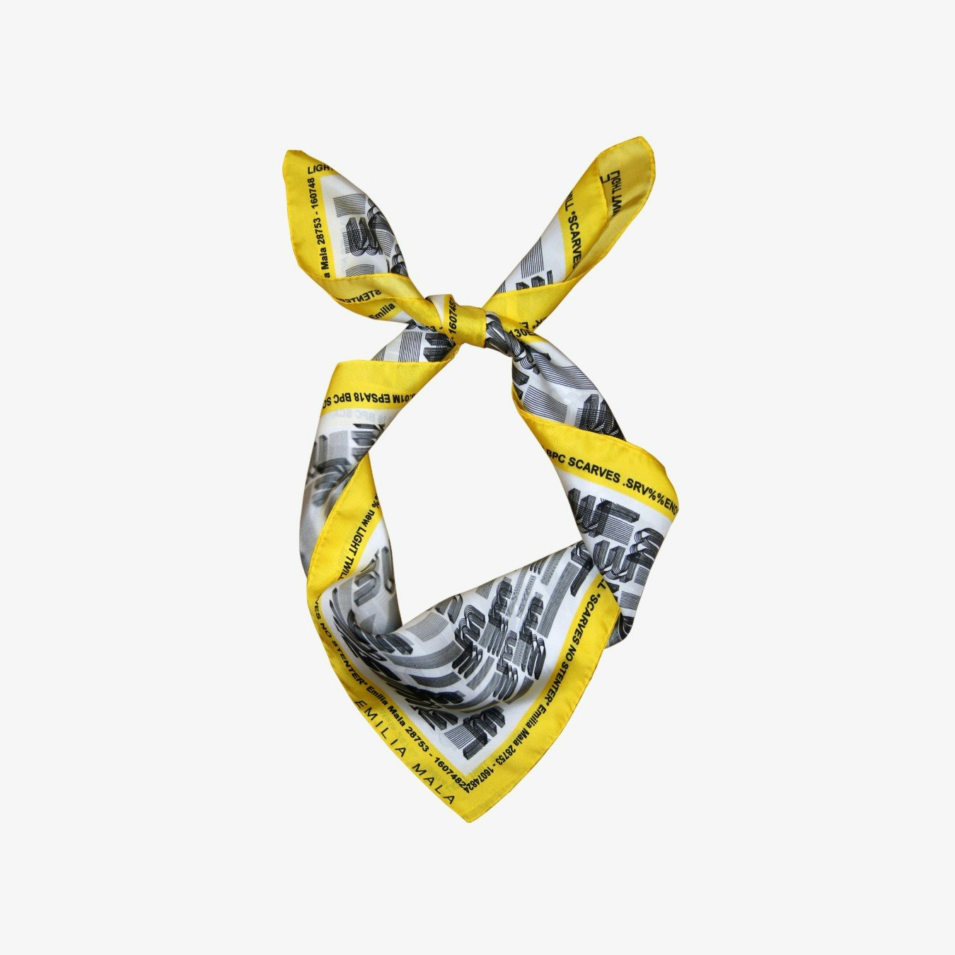 Rendez-Vous Optometrique Silk Scarf by Emilia Mala
