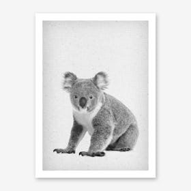 Koala II Art Print