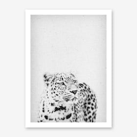 Leopard III Art Print