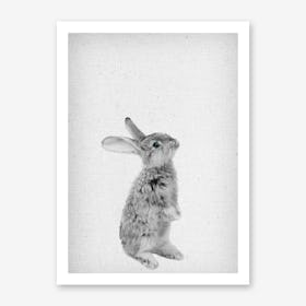 Frolein Rabbit I Art Print
