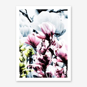 Magnolia I Art Print