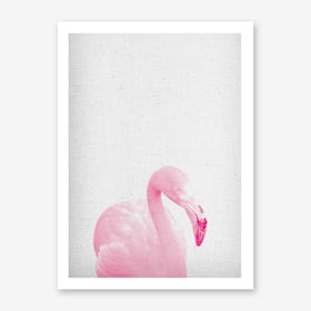 Froilein Flamingo III Art Print