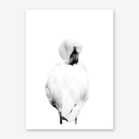 Froilein Flamingo V Art Print