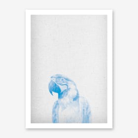 Papagei I Art Print