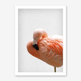 Froilein Flamingo VI Art Print